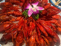 -舞虾小说.涮肉.烧烤(国顺东路店)