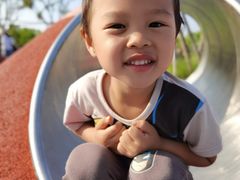 -春花秋色城市公园