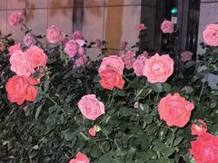 -粗粮人家·东北菜(洋桥店)