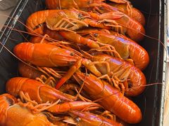 -靓靓蒸虾·头牌蒸虾(雪松路总店)