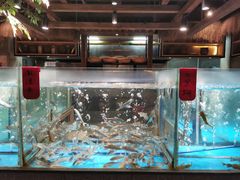 水产区-丹江渔村(首都机场店)