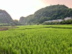 -高荡千年布依古寨旅游景区