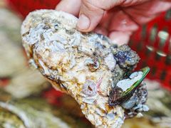 -巽寮印象美食部落餐厅·海鲜·地方特色菜(惠州体验店)