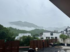 -自游人·美食一楼·地道徽菜(三十年名店)