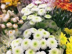 -AEON永旺(东方宝泰店)