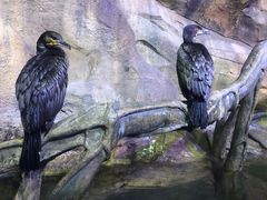 -波塞冬旅游度假区