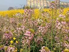 -中国天府农业博览园