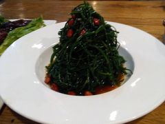 -老阿妈蒙古村·蒙古包·草原文化·歌舞表演(老君堂店)