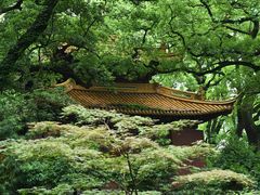 -普陀山风景名胜区-法雨禅寺