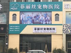 -菲丽丝宠物医院·24小时·猫科中心·免疫点(淮海分院)