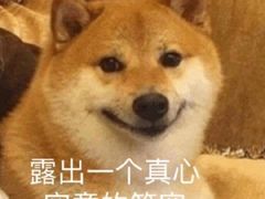 -花未央花店·WEYOUNG
