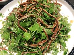 香椿苗拌豆腐丝-北平盛世·新京菜·北京烤鸭(劲松·双井店)