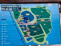 -池杉湖湿地公园