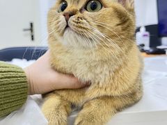 -福州肆爪动物医院