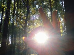 -武陵山森林公园