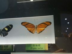 -上海昆虫博物馆