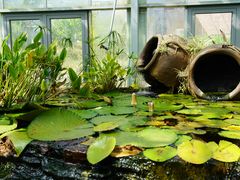 -国家植物园南园