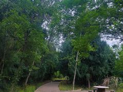 -七曲山风景区