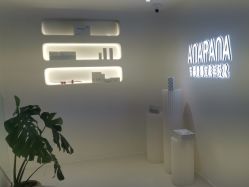 -安那般那皮肤年轻化ANAPANA