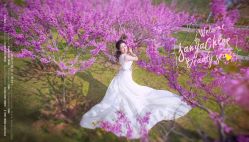 点击看大图 -巴黎春天·菀纱仙庭婚纱美学