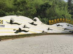 -西双版纳原始森林公园