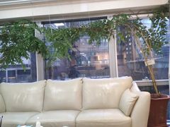 -精德口腔·种植修复·儿牙中心(财富中心店)