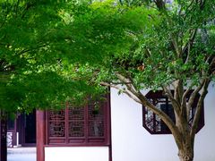 -上海醉白池公园