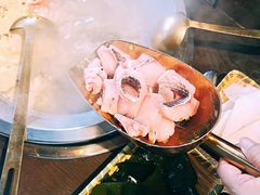 -土著渔匠·养生蝴蝶鱼(香樟路店)