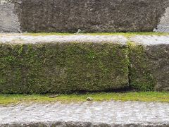 -武侯墓风景区