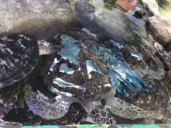 -鸿通城购物中心