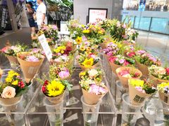 -鹿岛生活(熙地港店)