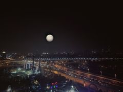 -锦江乐园舞狸花花游园会(夜场专享)