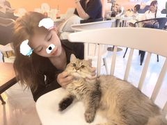 -猫爷宠物生活馆·撸猫馆