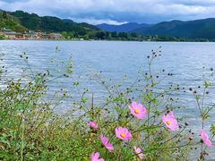 -丽江泸沽湖景区