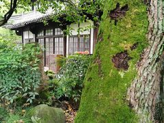 -天一阁博物院