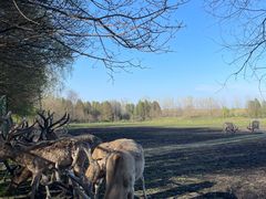 -溱湖国家湿地公园