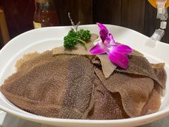 -巴奴毛肚火锅(九洲店)