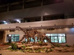-自贡恐龙博物馆