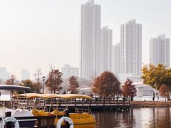 -厦门园林博览苑