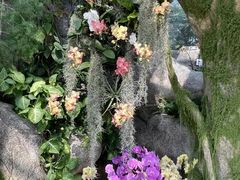 -厦门园林博览苑