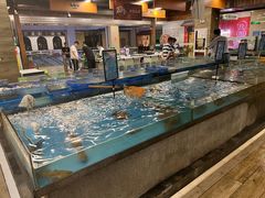 -宝燕海货工场(长江国际店)