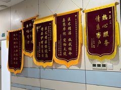 -中农国际动物医院24小时·猫科·骨科·急重症中心