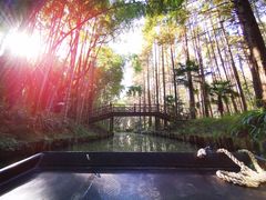 -同里国家湿地公园