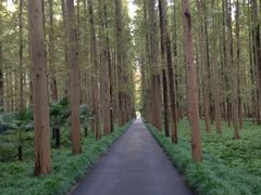 iphone_upload_pic-上海怡沁园度假酒店