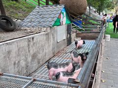 -北京鹿世界主题园