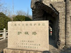 -上海佘山国家森林公园天马山园