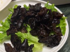 -中苑海韵