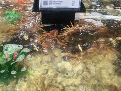 -盒马鲜生(曜一城店)