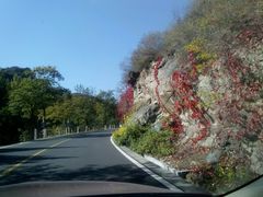 android_upload_pic-乌龙峡谷景区