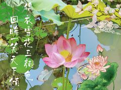 -大宁公园